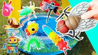 Kids Learn | Bug Insect Names at the Toadstool Pool: Fly Slug Caterpillar Dragonfly Bee