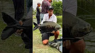 CAMPEONATO DE PESCA?? ISSO &Eacute; CBP COM A ALBATROZ FISHING!!!! SEU MELHOR COMPANHEIRO DE PESCA! 🎣 🔥