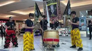 South Shore Plaza Lion Dance with Hung Gar/Yee Southern Lions