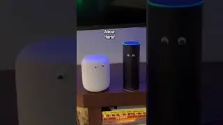 AI Gone Wild (short) #TheManniiShow.com/series