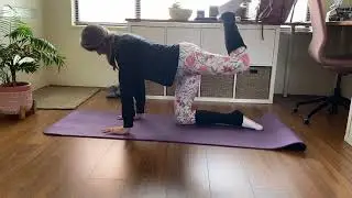 Hip circles in all fours