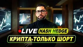 НАБИРАЮ ШОРТЫ! Крипто рынок продолжит падение. Торгую на проп счетах Hash Hedge