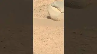 Mars Perseverance Rover Curiousity #4k #images #latestnews #viral #2023 #youtubeshorts #shorts