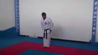 Kata 2 - Pinan Shodan