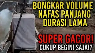 HAL YANG BISA BIKIN BURUNG BONGKAR MATERI, FIGHTER DAN SUPER GACOR! DENGAN SAUNA!? APA IYA??