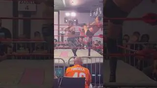 Stallion Rogers vs Ariel Levy #wweraw #sethrollins #livmorgan #jeyuso #trending