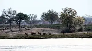 Bwabwata National Park, Namibia, September 2025