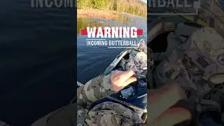 Chasing Trophies: Big Bass Caught from a Kayak #bassfishing #kayakfishing #fishing