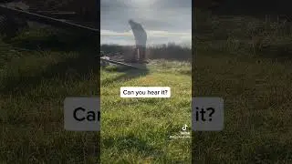 Why you adjust the carburetor after a muffler mod or swap.