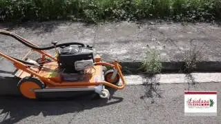 DEMO AS MOTOR 2017-06-02