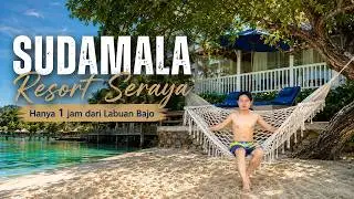 DAY 2: Resort Rahasia 1 Jam dari LABUAN BAJO  | Surga Bawah Laut | Sudamala Resort Seraya