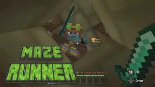 Minecraft-Maze Runner