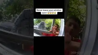 Never leave your window open #wyze #wyzecam #funnymemes #funny