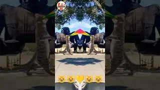 Billi bole meow meow cute catdanceshort 🐱❤️🐱 video#automobile#song #funny#comedycartoon#30onTrending