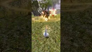 Archeage - Amaitan Meadows Combat