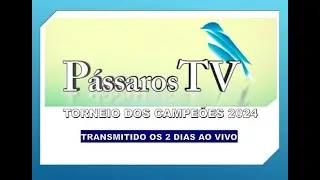 2º Dia do Torneio dos Campeões (15/12/2024) | PássarosTV