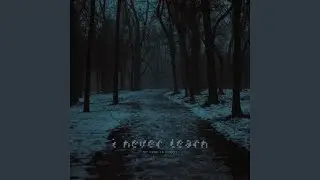 i never learn