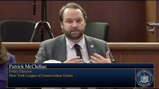 Pat McClellan - Budget Testimony 2026