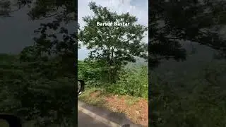 #barsur #bastar #chhattisgarh #travel #hamarchhattisgarh #nature #shortvideo #shorts
