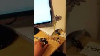 #FlowerBot