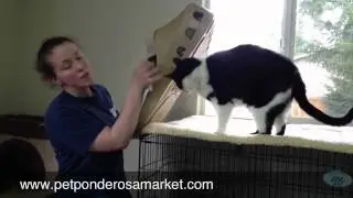 Dog and Cat Sasquatch Bed