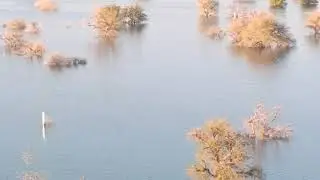 Gorano Dam tharparkar