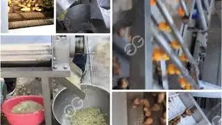 Ginger Shred Machine Ginger Process Line For Ginger Washing Peeling Slicing Jucing Process