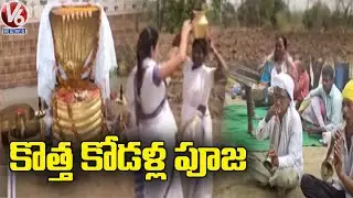 Mesram Community Daughter-In-Law Performs Pooja At Asifabad | V6 News
