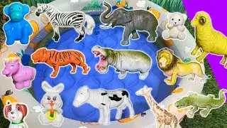 Meet the GIANT Animals! 🐘 | Big Wild Animal Adventure for Kids