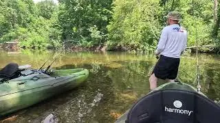 Citico Creek via Tellico 5Jul25