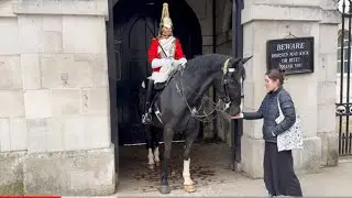 Royal Kings Guard Horse show Love with Cute Girls
