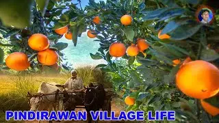 PINDIRAWAN VILLAGE LIFE / naqvi village life