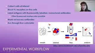 Bioanalytical Chemistry: Intro to Flow Cytometry