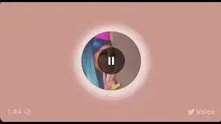 CityGirls Jt Quick Fight Story