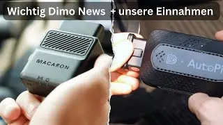 Important Dimo news + our earnings + conclusion after almost 1 year