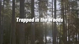 Ellie's Song: 