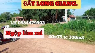 💓ĐẤT LONG GIANG.. NG&Ocirc;P LĂM ROI. 20X75. TC 300M2. LH 0984479902