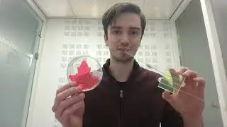 CATART Project - No&euml;l Group, University of Amsterdam