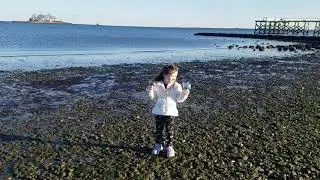 Calf Pasture Beach