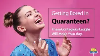 Best Contagious Laughs Ever | Drive Boredom Away and Laugh Your Heart Out!