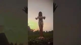 #dogvlogs