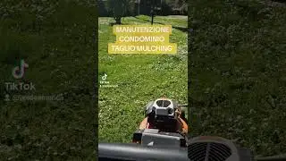 TAGLIO MULCHING