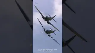 Spitfire Thunder!  Sound ON! A sky full of Spitfires - just the sound of Merlin & Griffon engines.