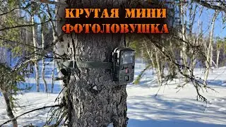 Мини фотоловушка которая меня удивила