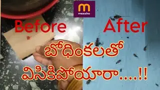 cockroach killer mersho। cockroach killer meesho review । cockroach killer gel meesho review