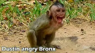 Poor Dustin cry...loudly angry little Bronx chase from Briana, Pity baby Dustin no mom take care