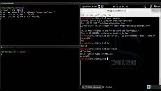 Shellshock Attack VIA cgi scripts attack vector
