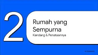 Jadi, Anda Ingin Sugar Glider? Simak Video ini sebelum membeli