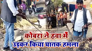 कोबरा ने हवा में उड़कर किया घातक हमला !! Sonu Pujari Sarp Mitra ! Snake Rescue Video ! Snake Saver