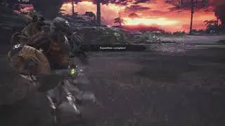 Monster Hunter: World Sidequests - Critical Bounty - Pink Parexus Capture - Courageous Eel